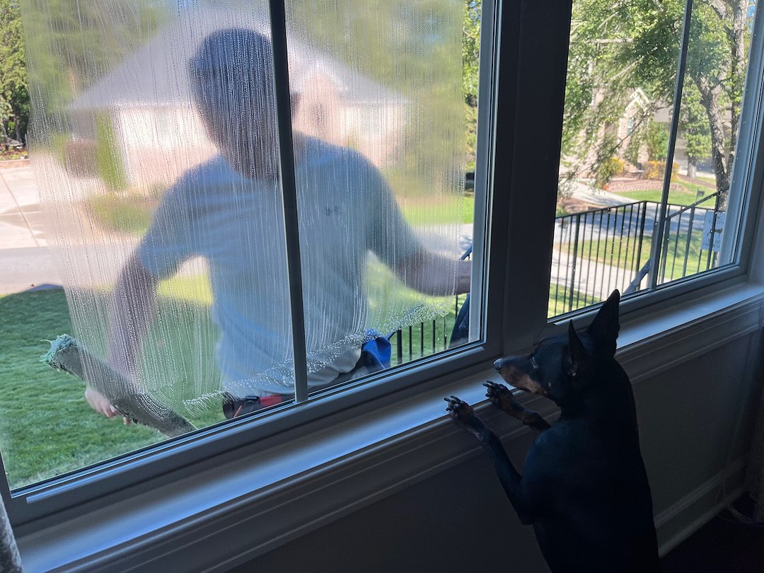 Affordable & Professional Window Cleaning Cornelius, NC