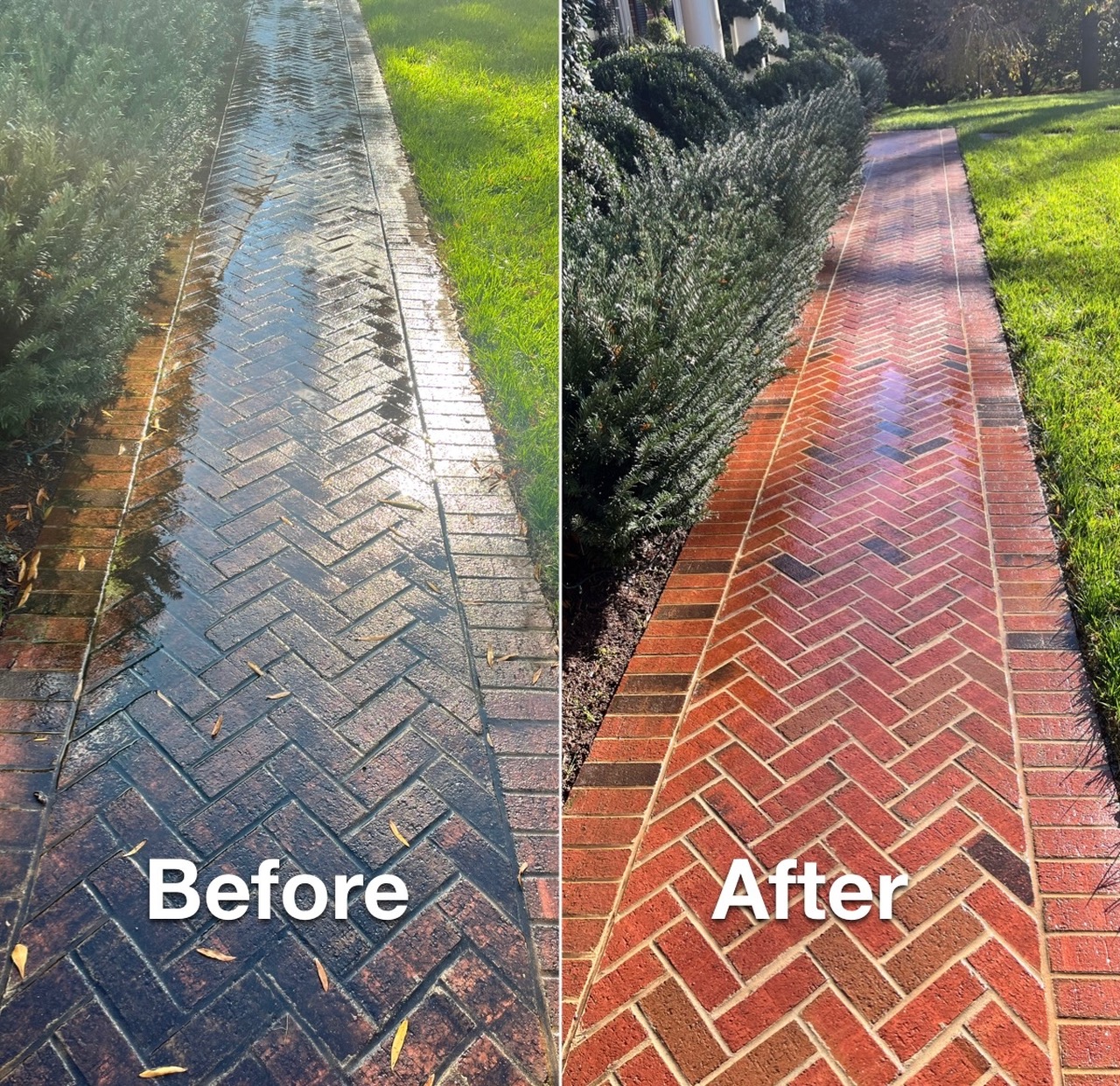 Charlotte's BEST choice for Residential Pressure Washing Services