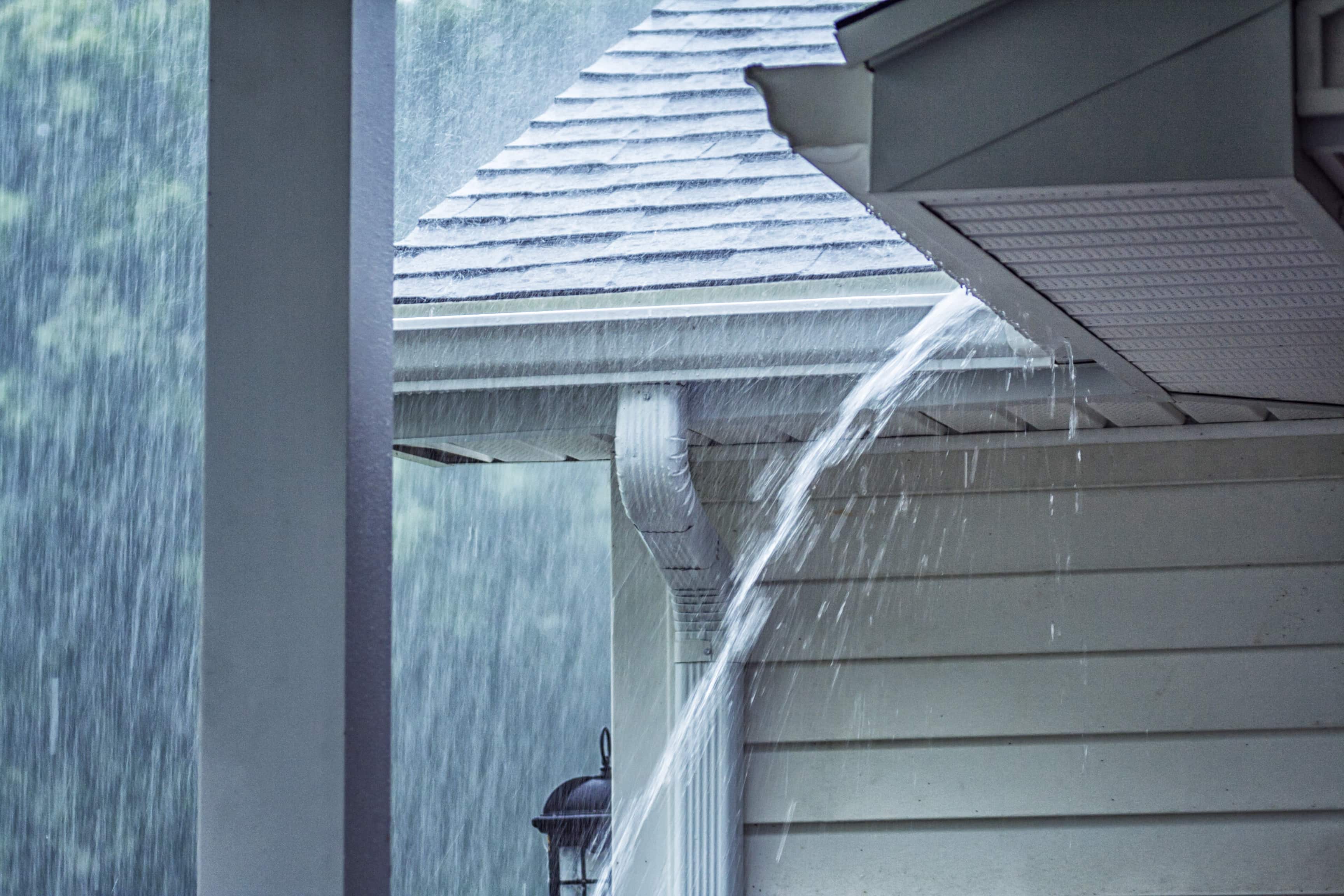 Gutter Cleaning Charlotte, NC (1)